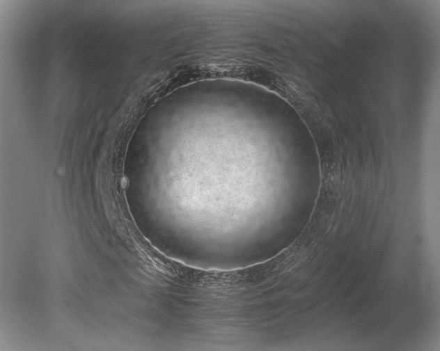 X0000080680817200612151220