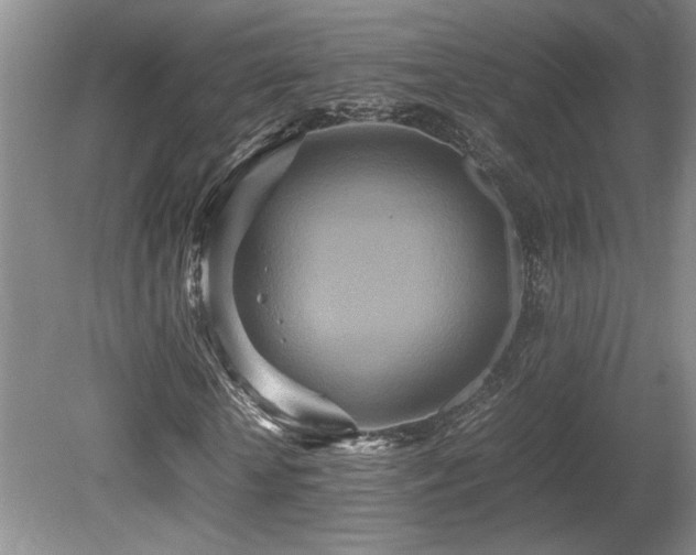 X0000080680818200612151220