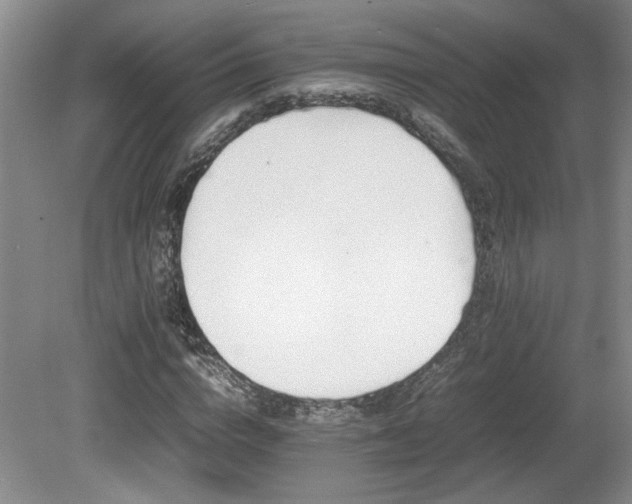 X0000080680824200612151220