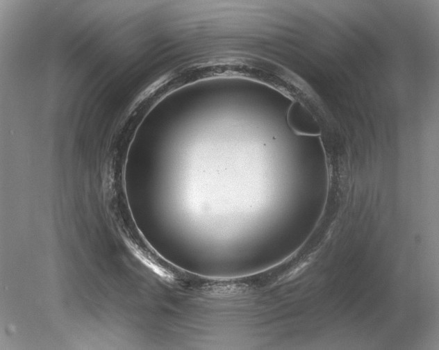 X0000080680826200612151220
