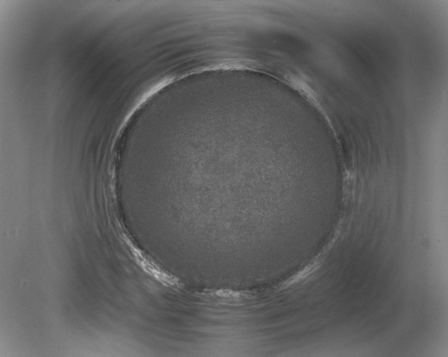 X0000080680827200612151220