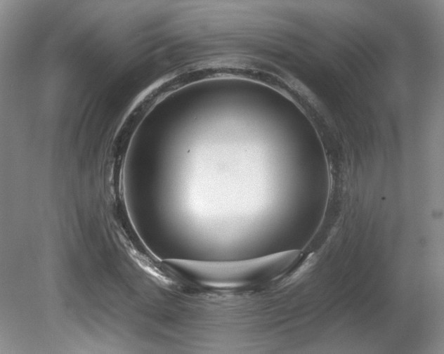 X0000080680830200612151220