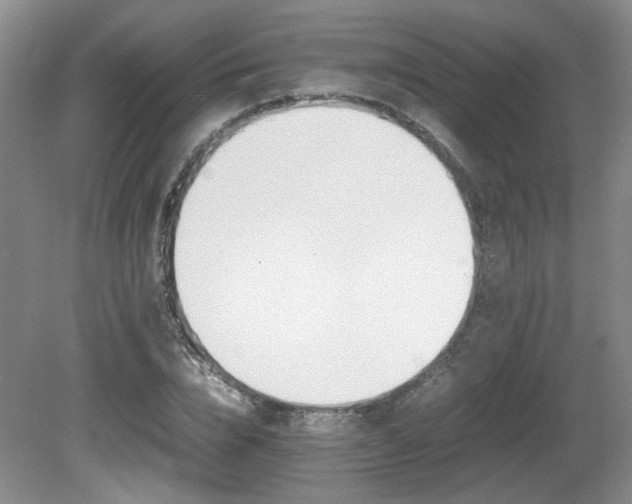 X0000080680832200612151220