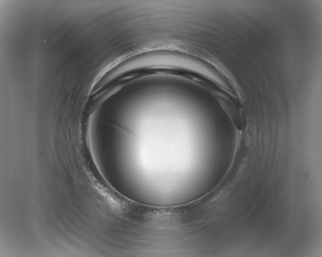 X0000080680834200612151221