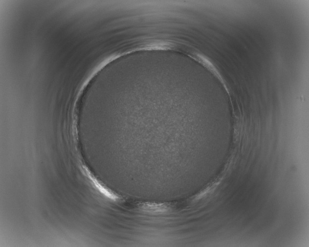 X0000080680835200612151221