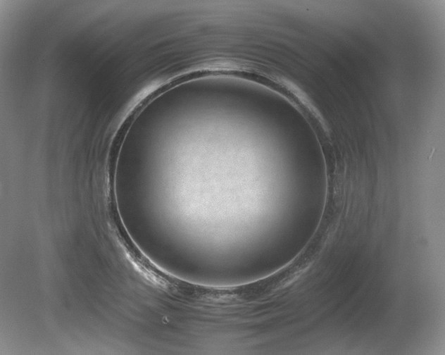 X0000080680837200612151221
