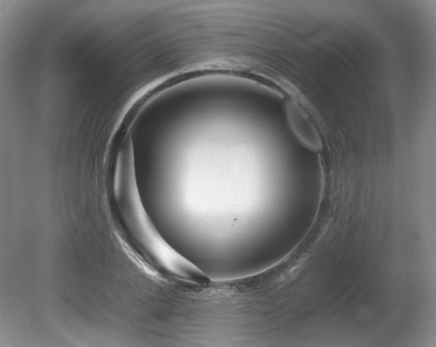 X0000080680838200612151221