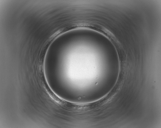 X0000080680841200612151221