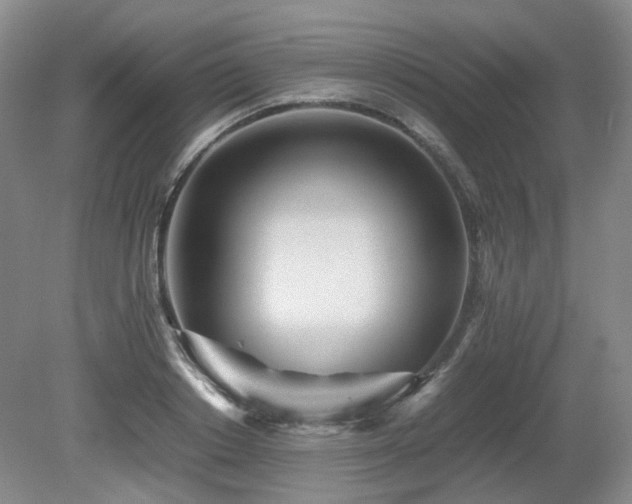 X0000080680842200612151221