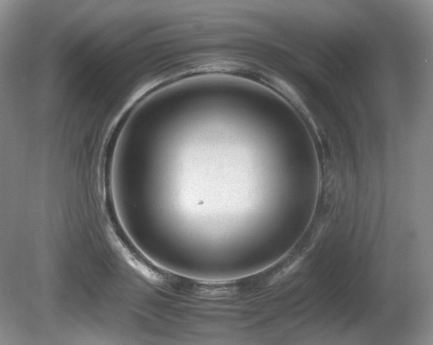 X0000080680843200612151221