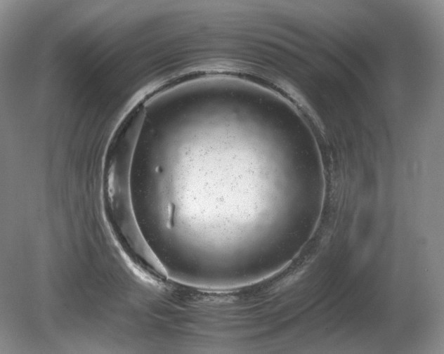 X0000080680845200612151221