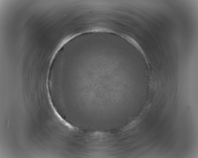 X0000080680847200612151221