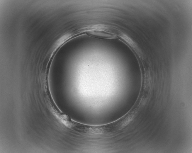 X0000080680850200612151221