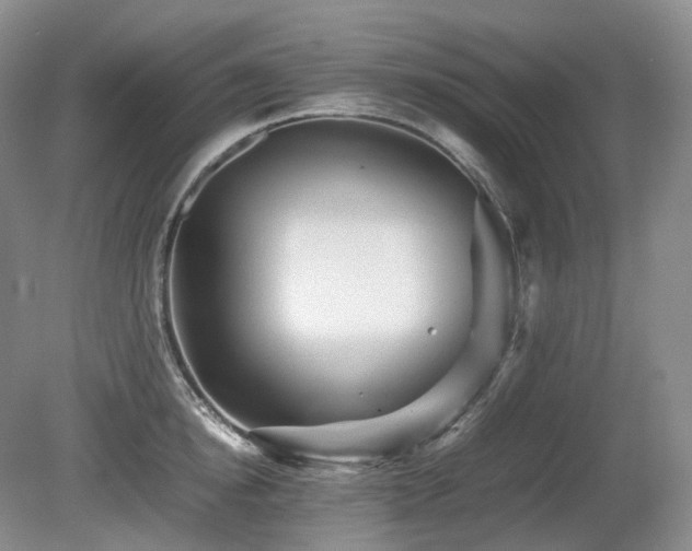 X0000080680854200612151221