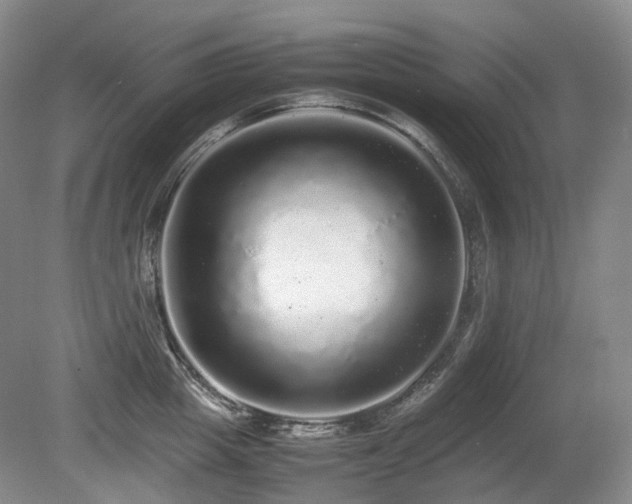 X0000080680857200612151221
