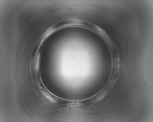 X0000080680858200612151221