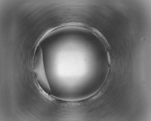X0000080680860200612151221