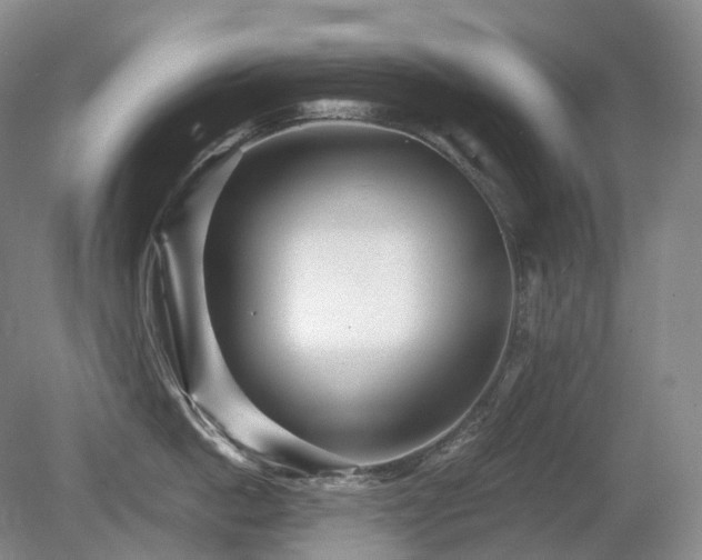 X0000080680862200612151221
