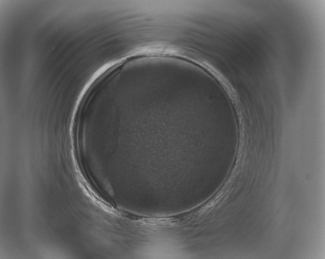 X0000080680864200612151221
