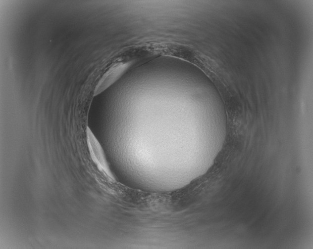 X0000080680865200612151220