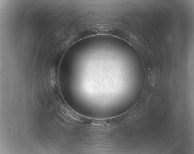 X0000080680866200612151220