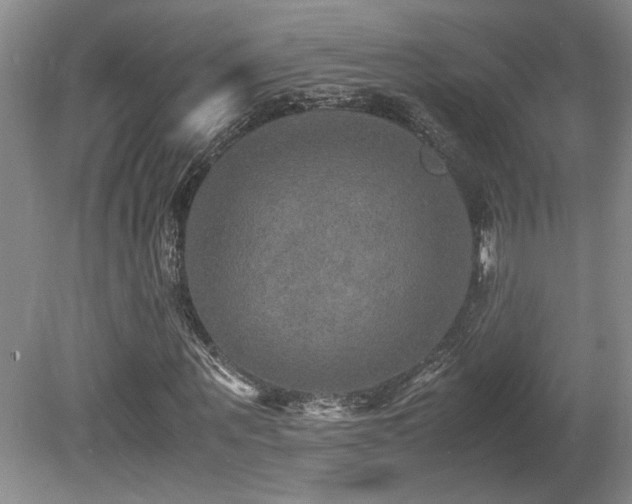X0000080680867200612151220