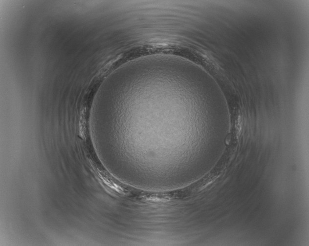 X0000080680868200612151220