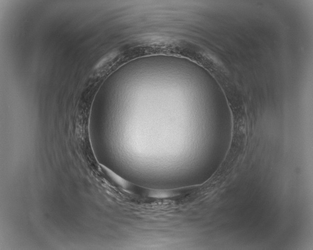 X0000080680869200612151220
