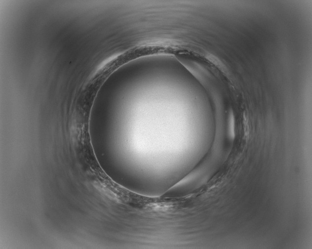 X0000080680872200612151220
