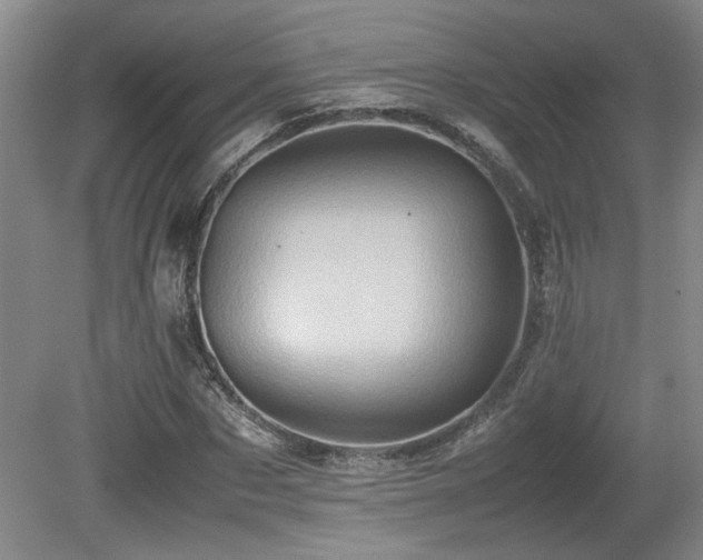 X0000080680873200612151220