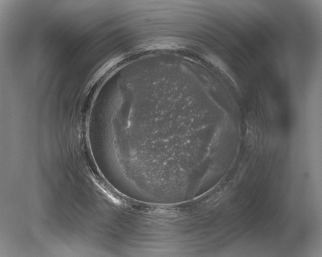 X0000080680874200612151220