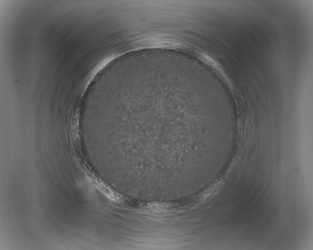 X0000080680875200612151220
