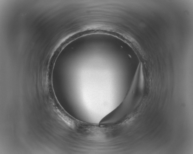 X0000080680880200612151220