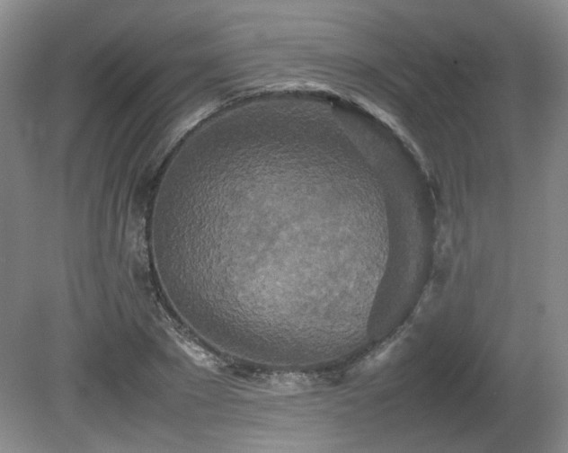 X0000080680881200612151220
