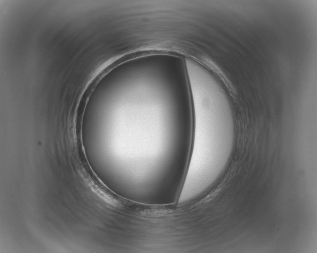 X0000080680884200612151220