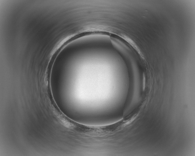 X0000080680885200612151220