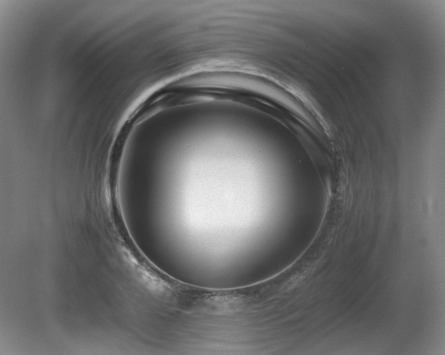 X0000080680888200612151220