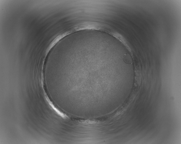 X0000080680890200612151220
