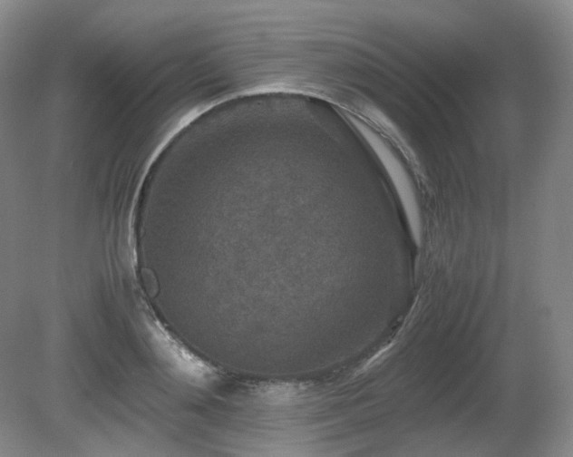 X0000080680892200612151220