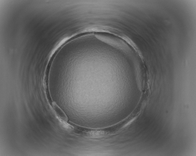 X0000080680893200612151220