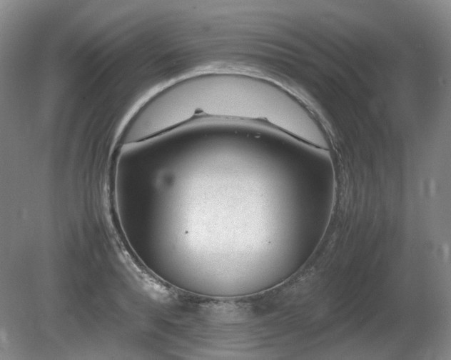X0000080680896200612151220