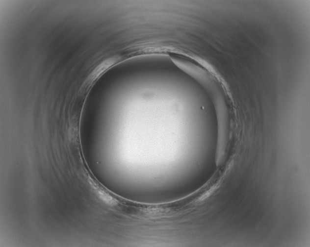 X0000080680897200612151220
