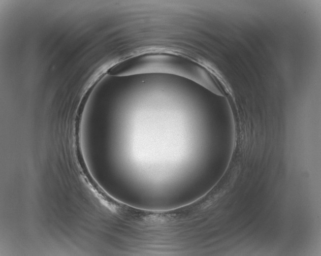X0000080680898200612151220