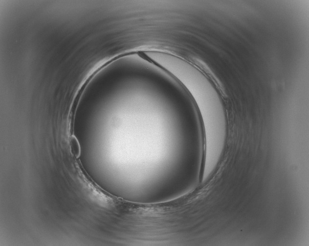 X0000080680900200612151220