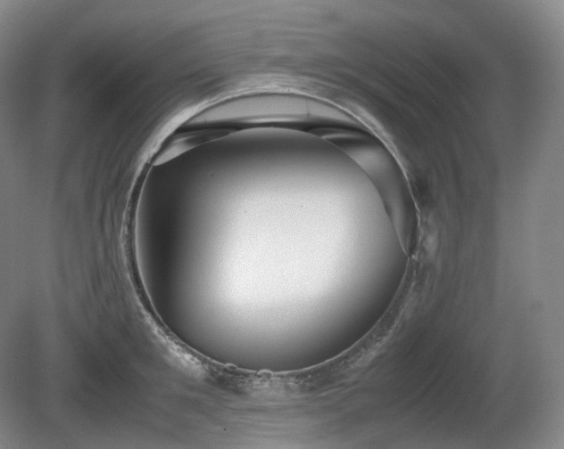X0000080680901200612151220