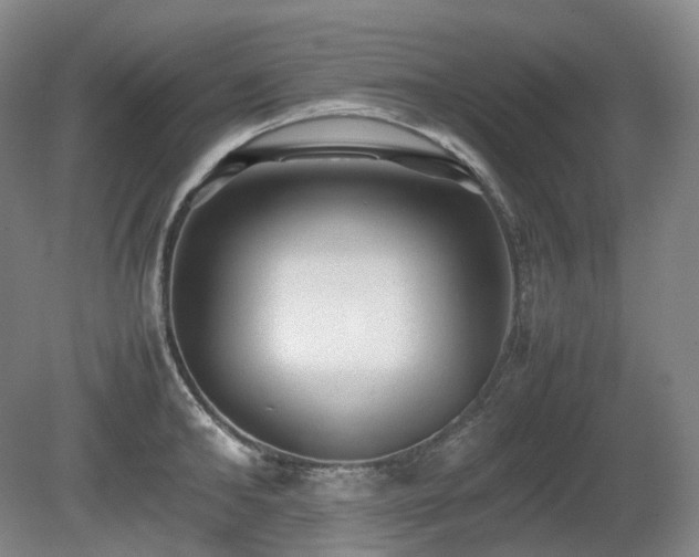 X0000080680902200612151220