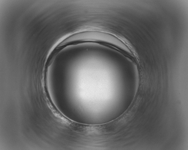 X0000080680904200612151220