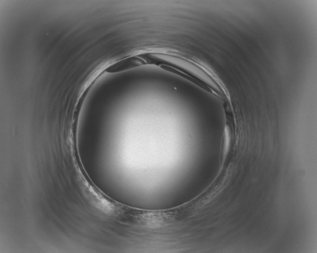 X0000080680906200612151220