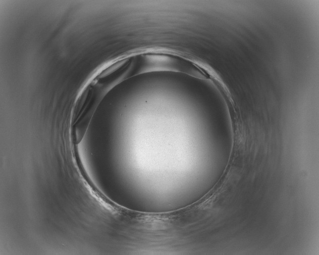 X0000080680910200612151219
