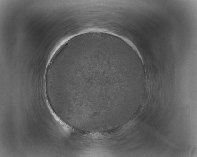 X0000080680911200612151219